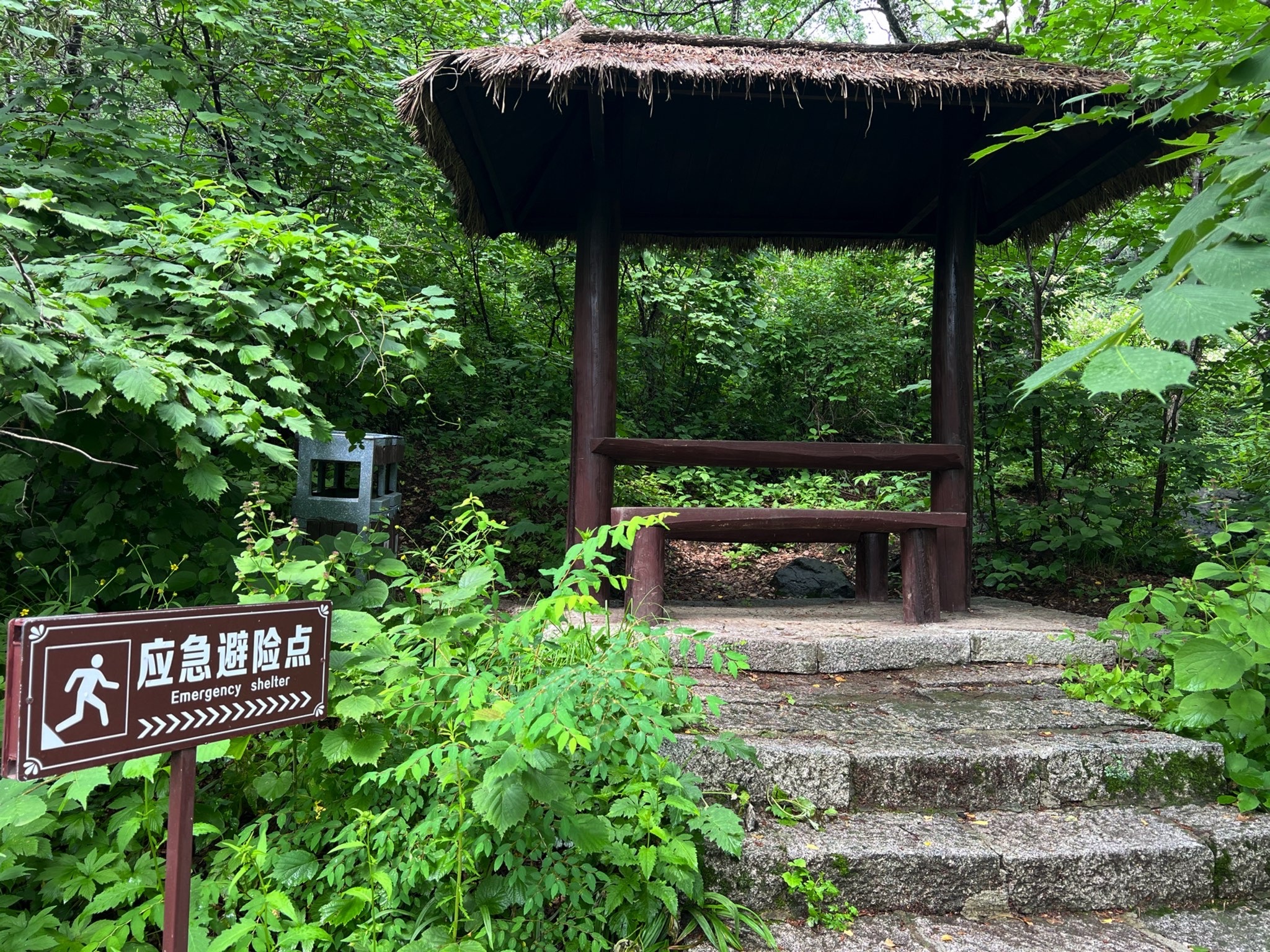 茅荆坝国家森林公园(暂停开放)旅行图片 2