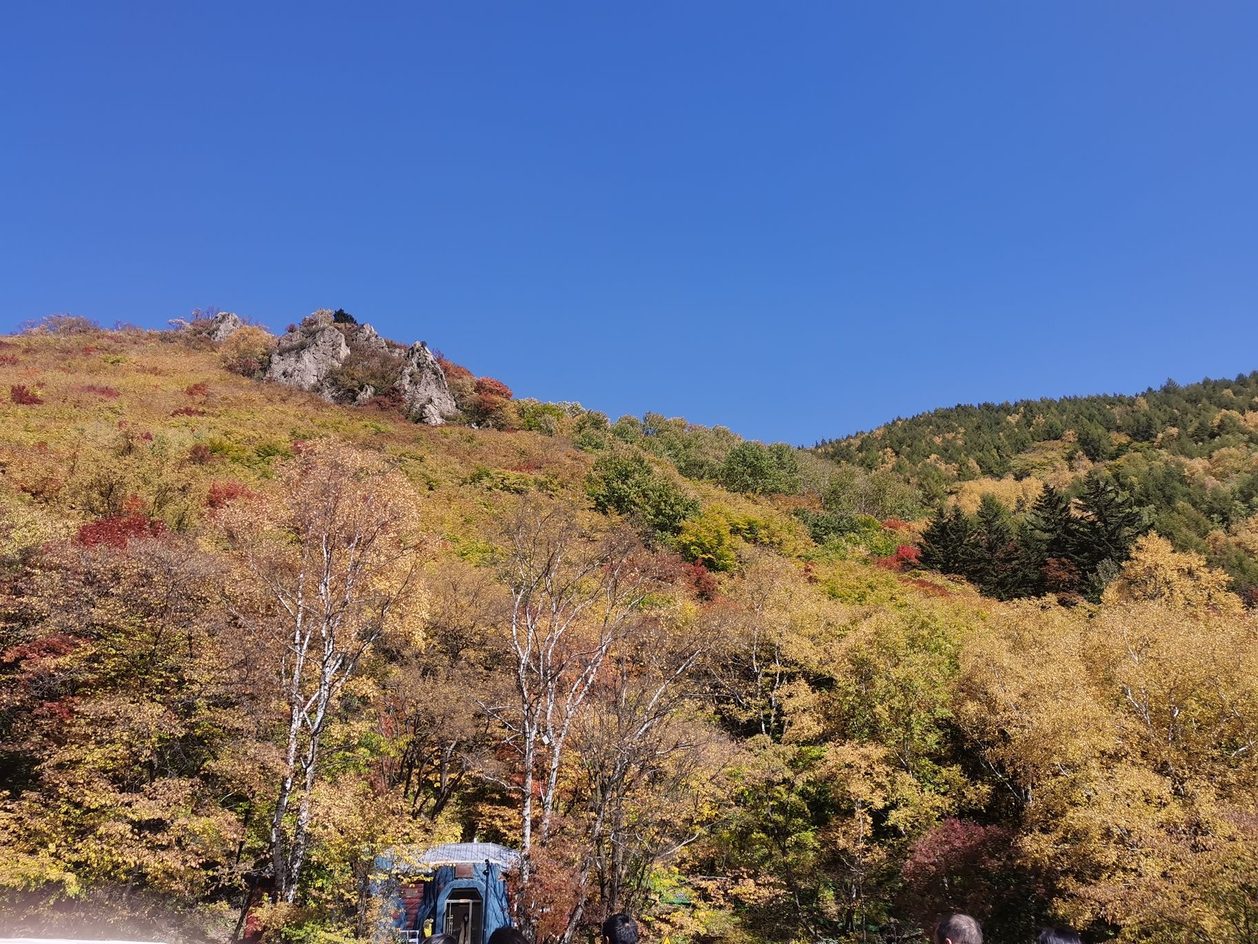 茅荆坝国家森林公园(暂停开放)旅行图片 1