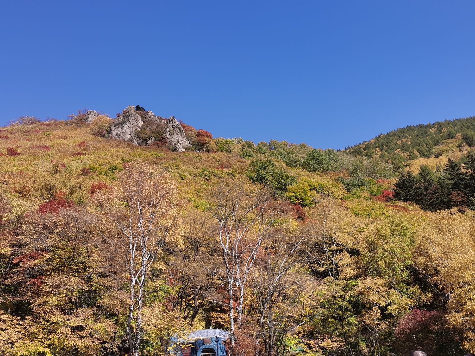 茅荆坝国家森林公园(暂停开放)旅行图片 2