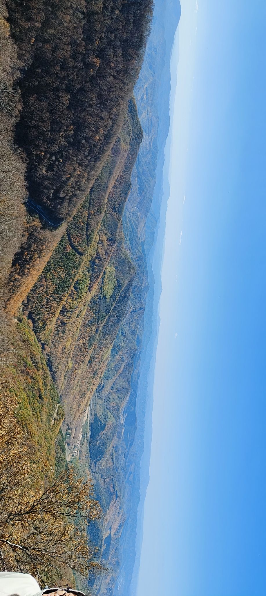 茅荆坝国家森林公园(暂停开放)旅行图片 3