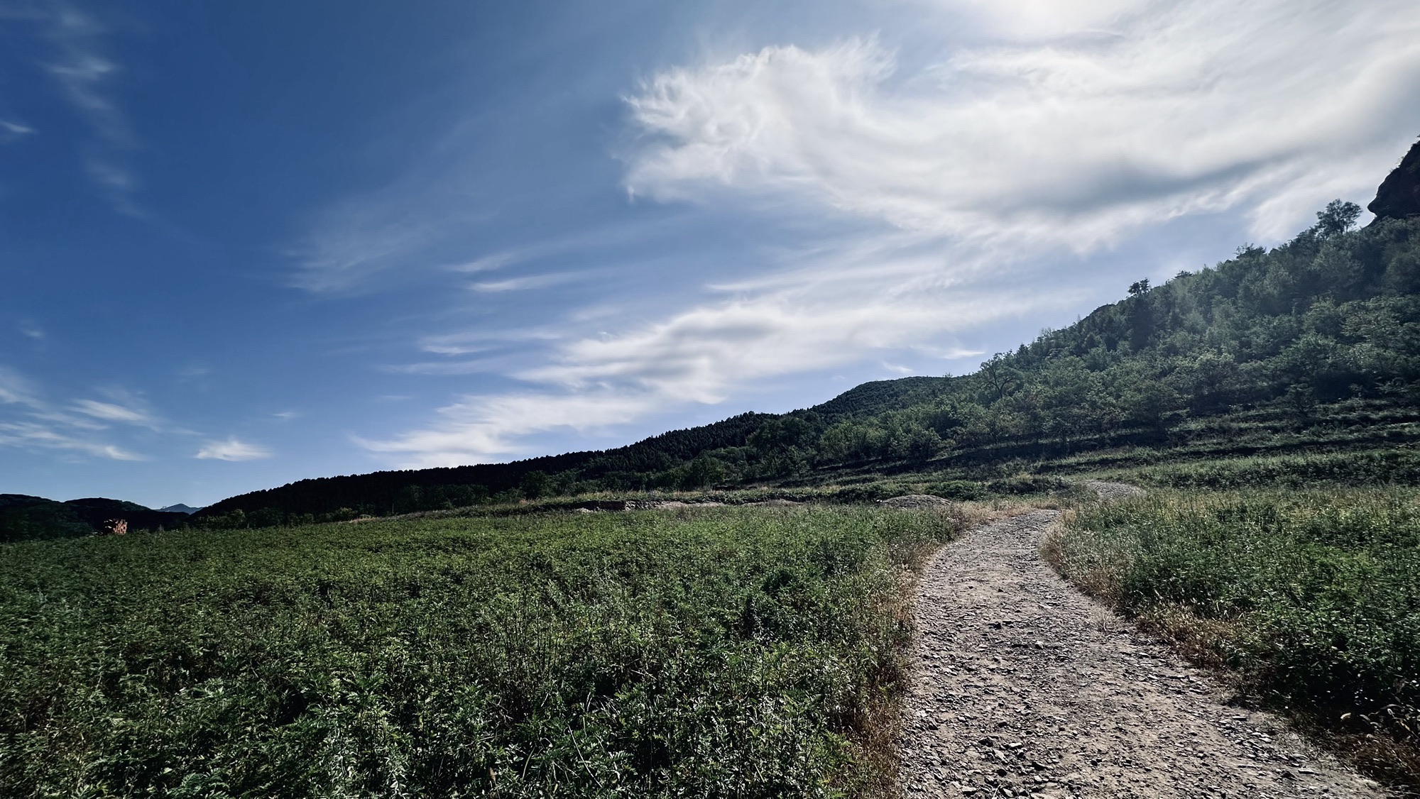 碧霞山旅行图片 1
