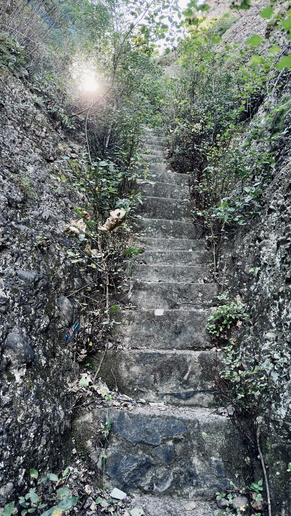 碧霞山旅行图片 3