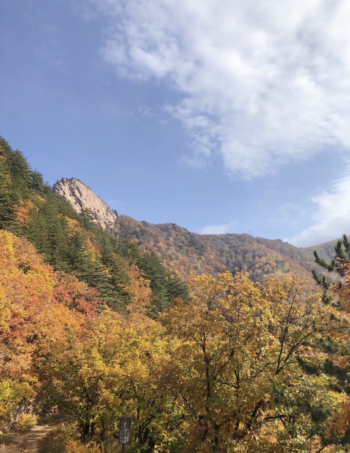 白草洼国家森林公园(暂停开放)旅行图片 3
