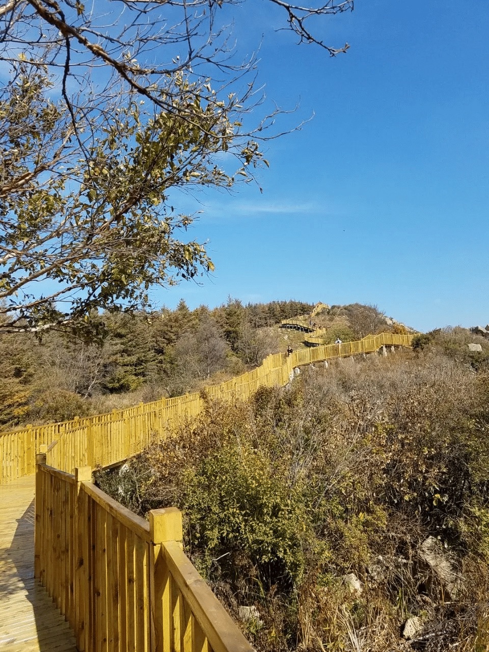 白草洼国家森林公园(暂停开放)旅行图片 1
