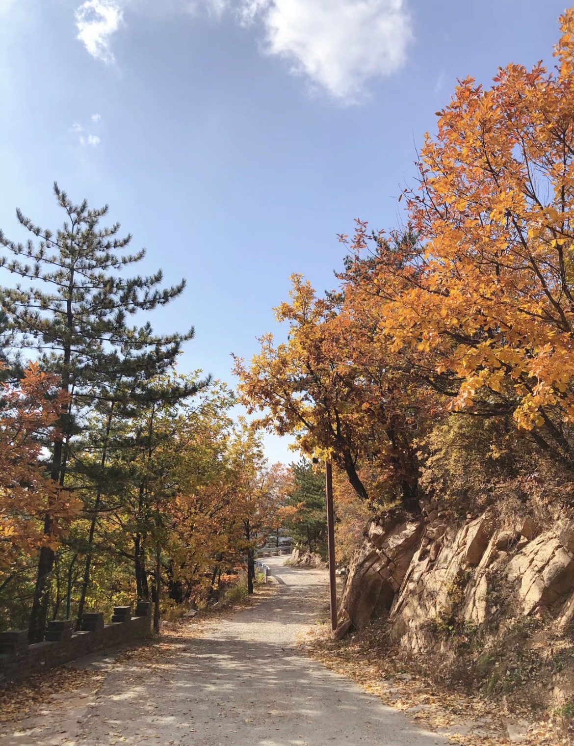 白草洼国家森林公园(暂停开放)旅行图片 2