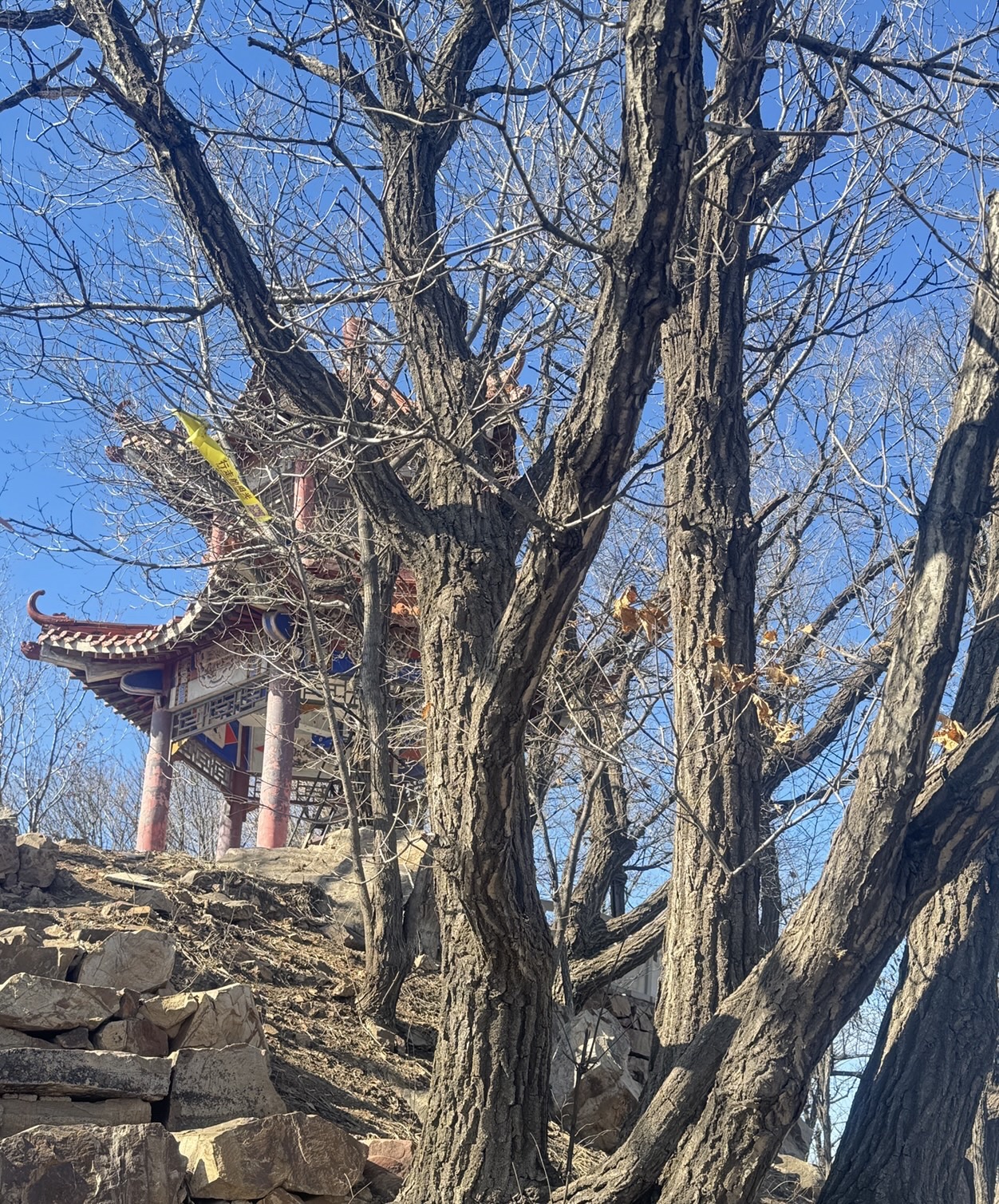 东指壶旅行图片 3