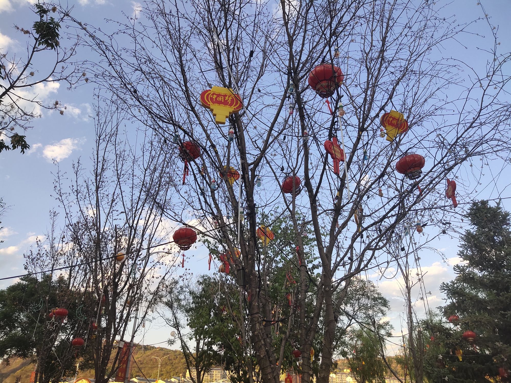 云山樱花园旅行图片 1