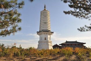 泽州园旅行图片 2