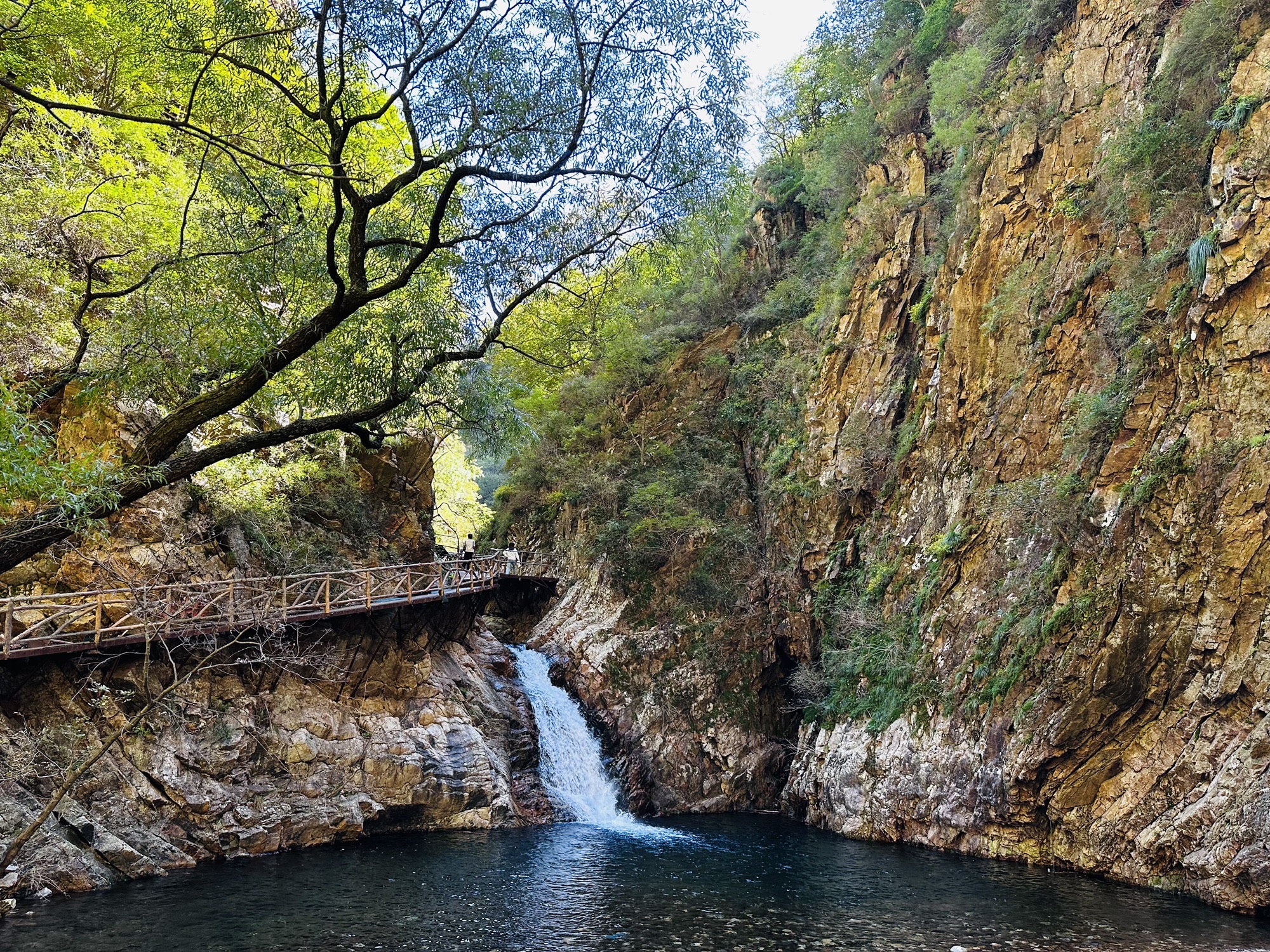 九龙潭青松岭峡谷风景区