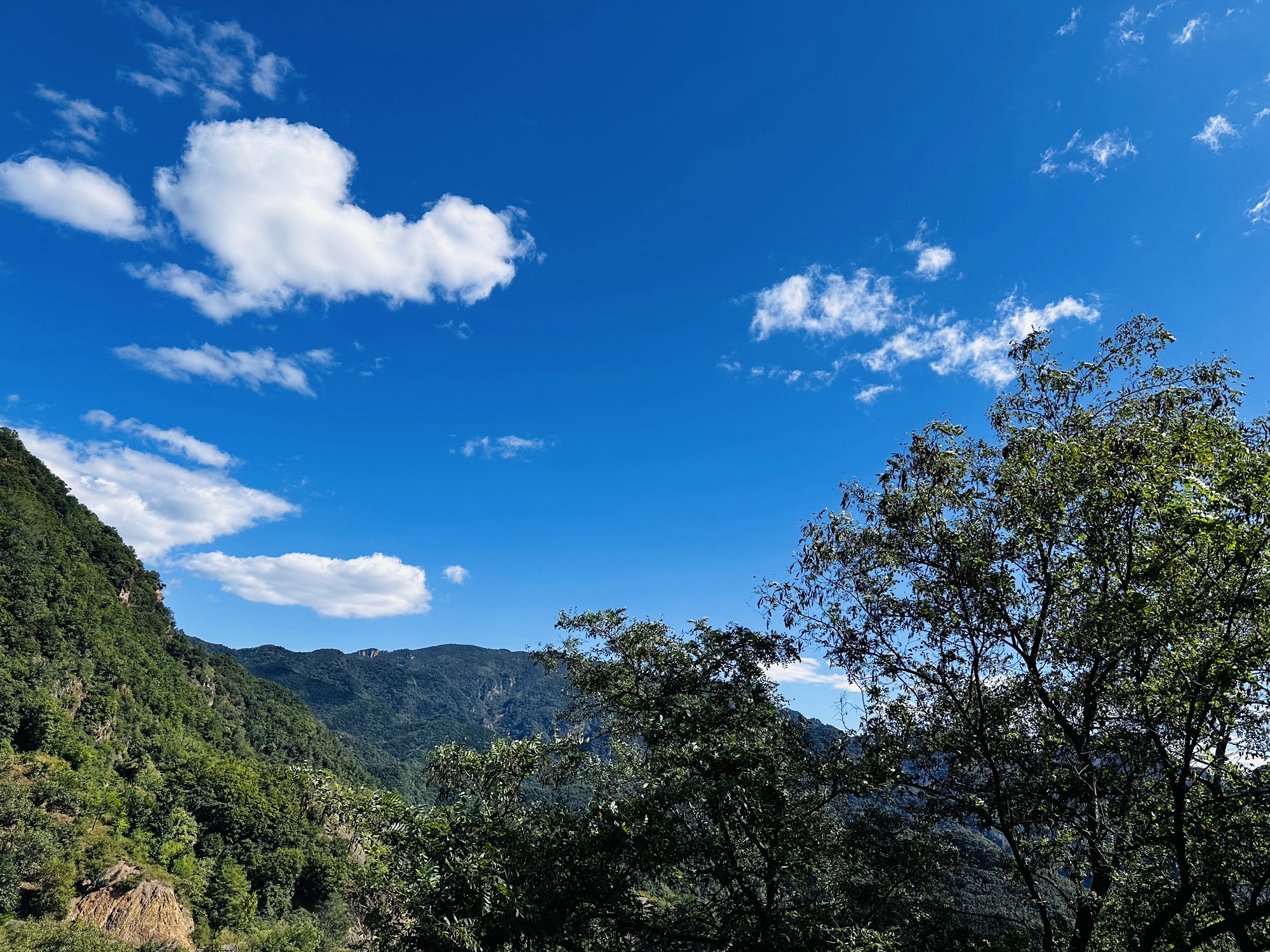 九龙潭青松岭峡谷风景区旅行图片 1