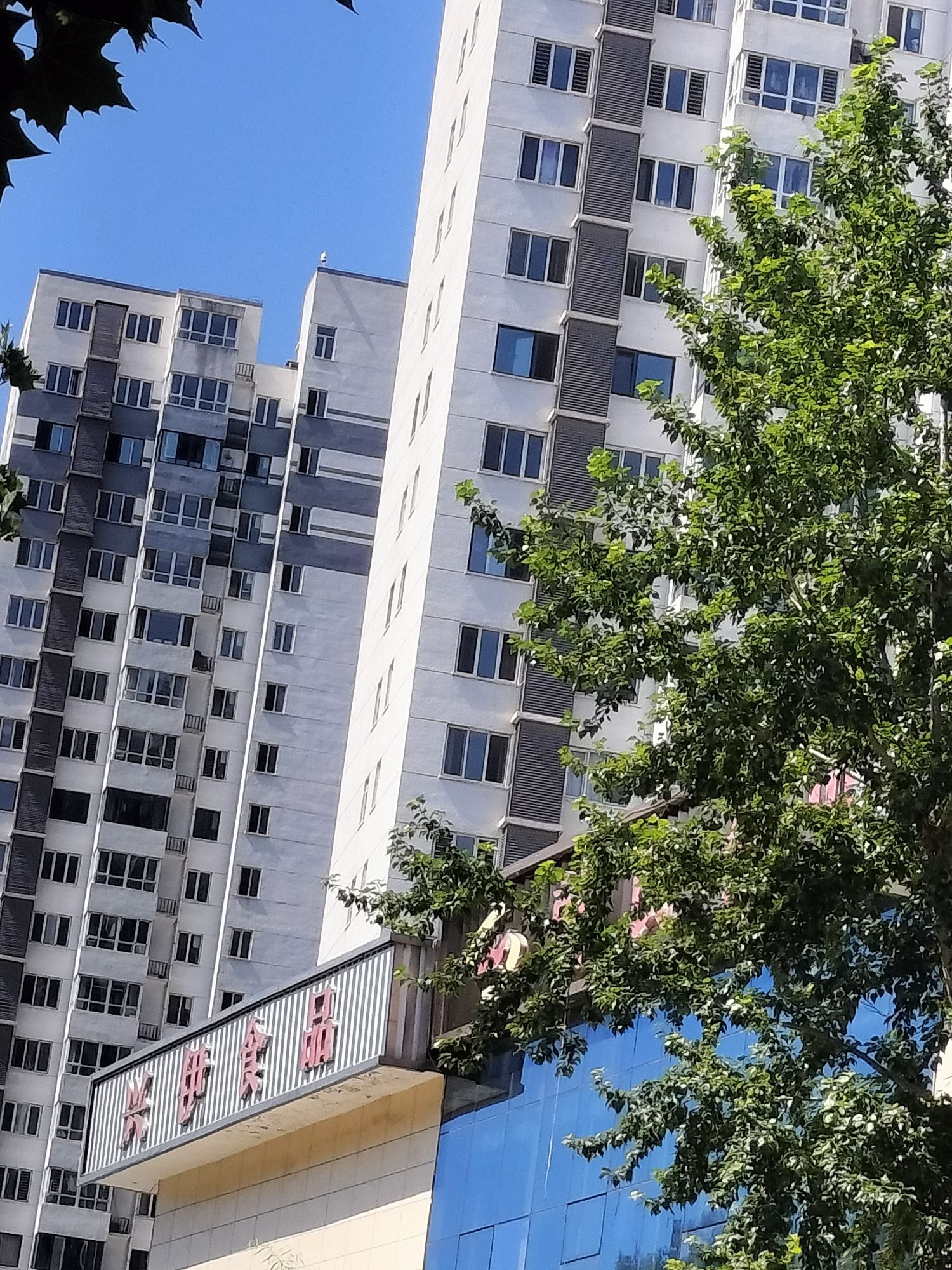 承德兴伊罐头食品有限公司
