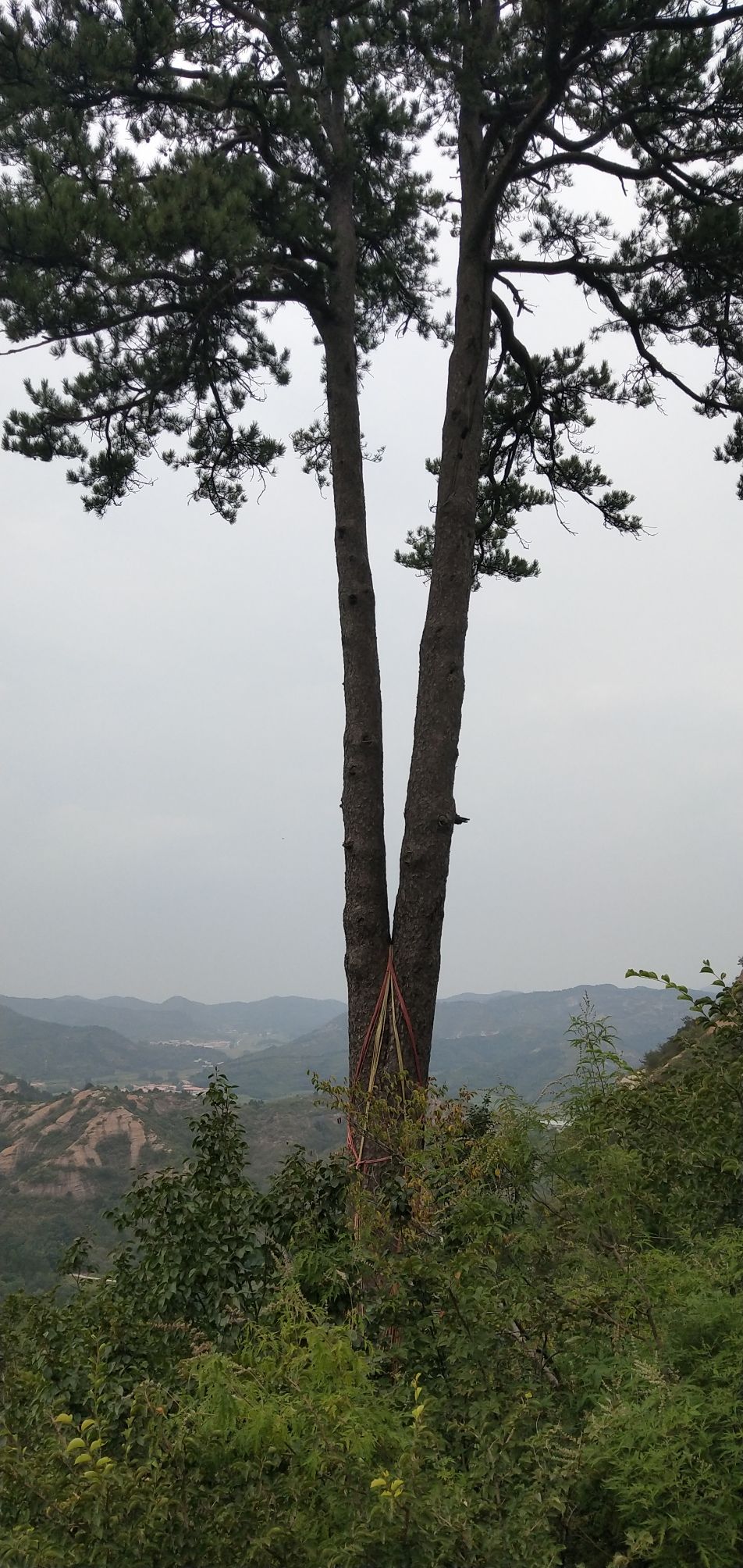 朝阳洞景区(暂停开放)旅行图片 3