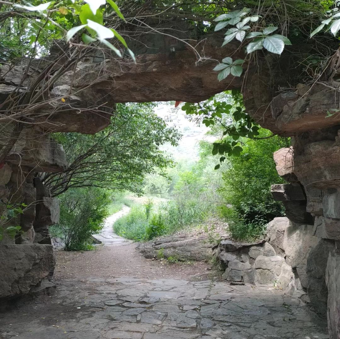 朝阳洞景区(暂停开放)旅行图片 2
