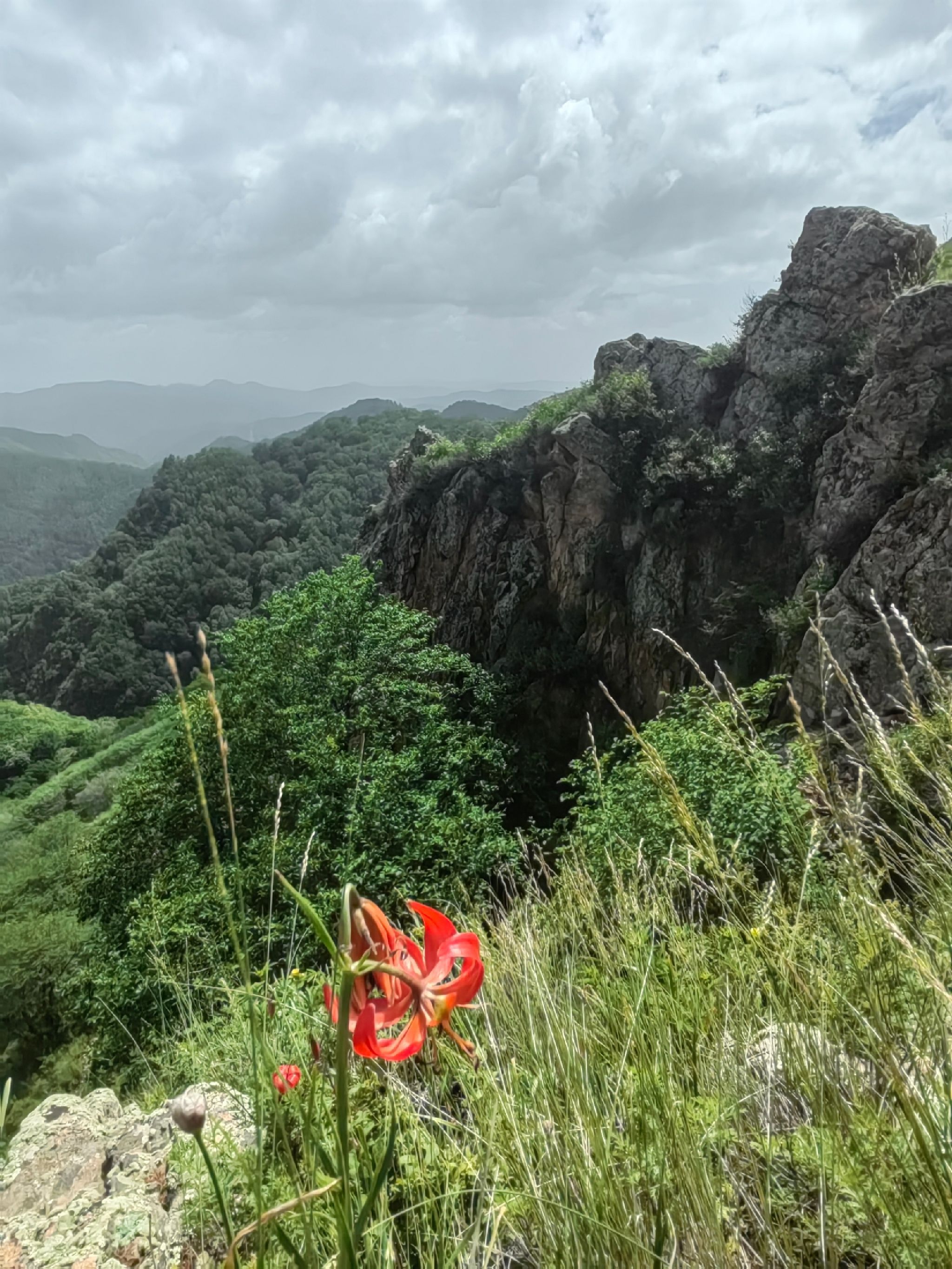 五道沟风景区旅行图片 1