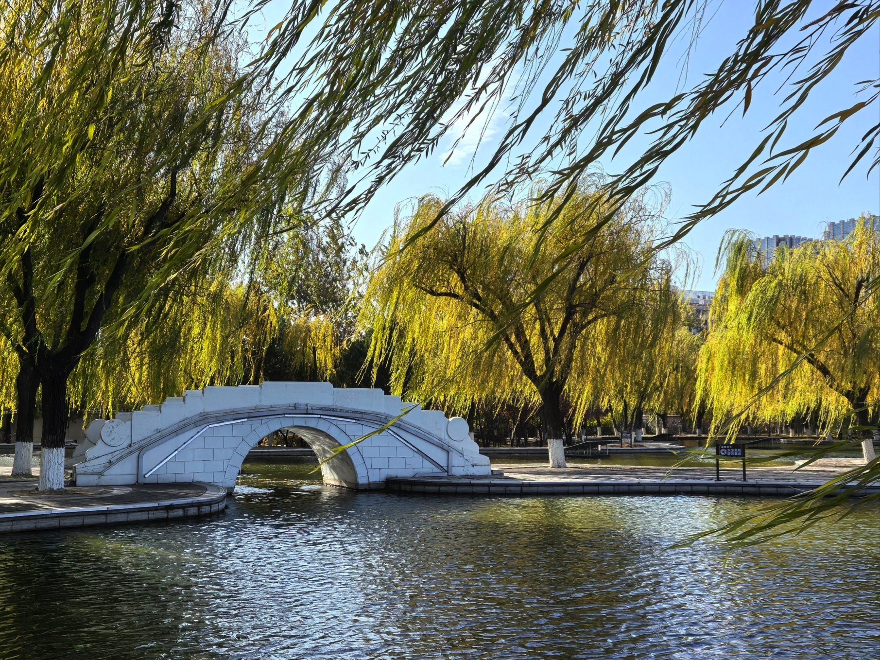 大钊公园旅行图片 3
