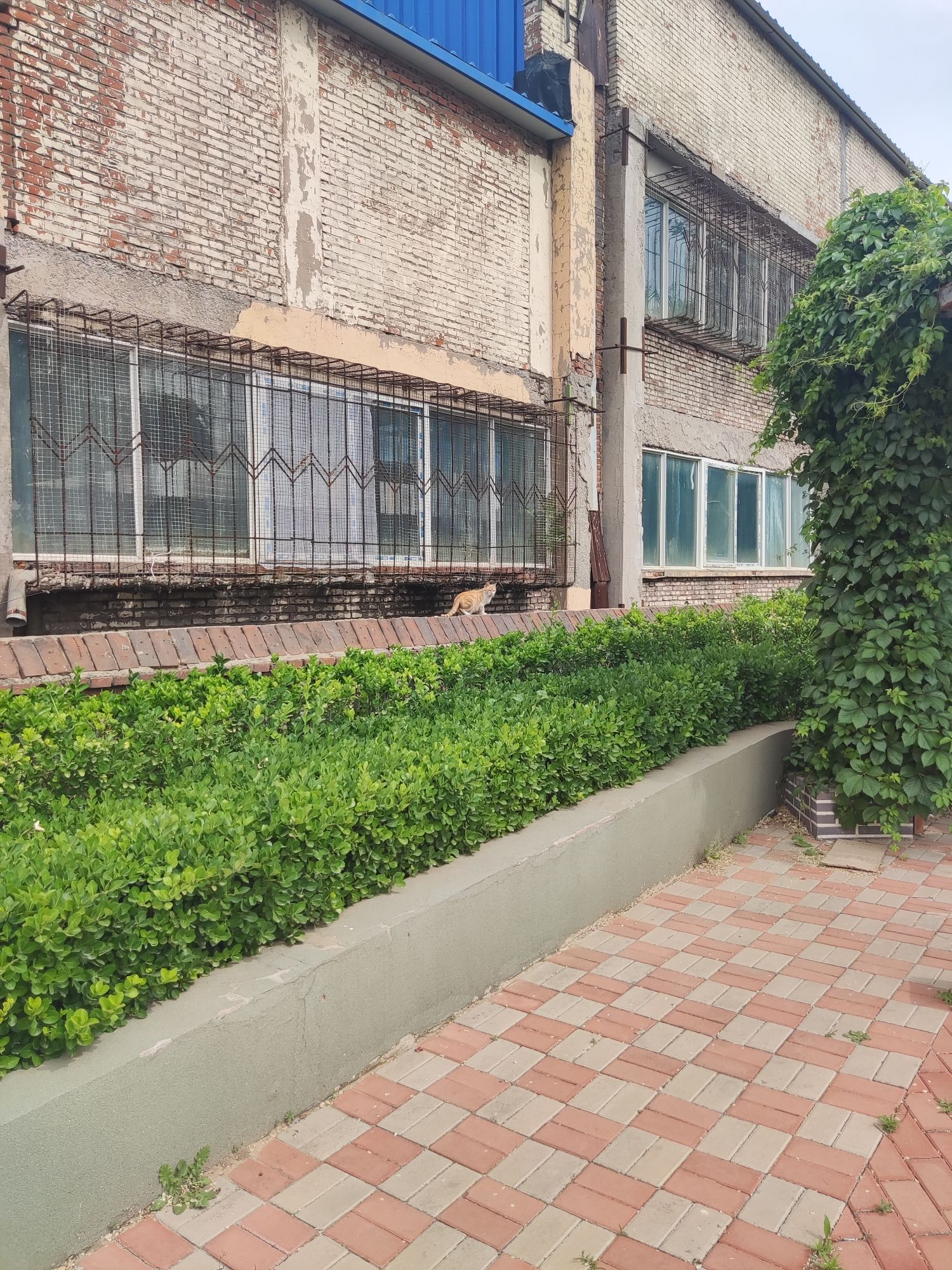 弯道山公园旅行图片 2