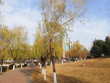开平公园旅行图片 1