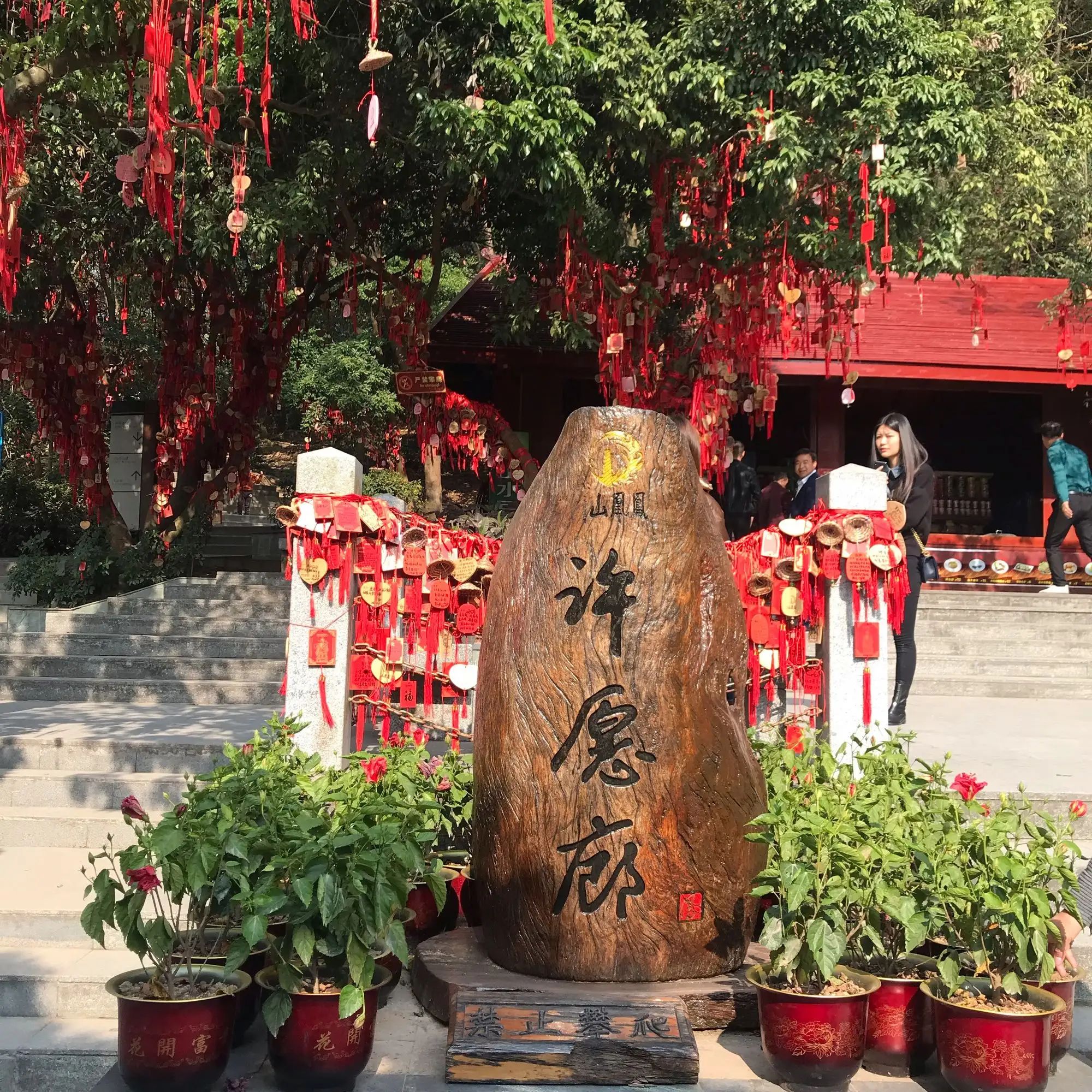 凤凰山公园旅行图片 2