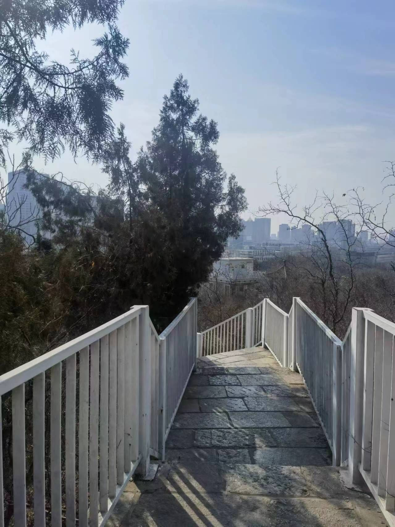 凤凰山公园旅行图片 2