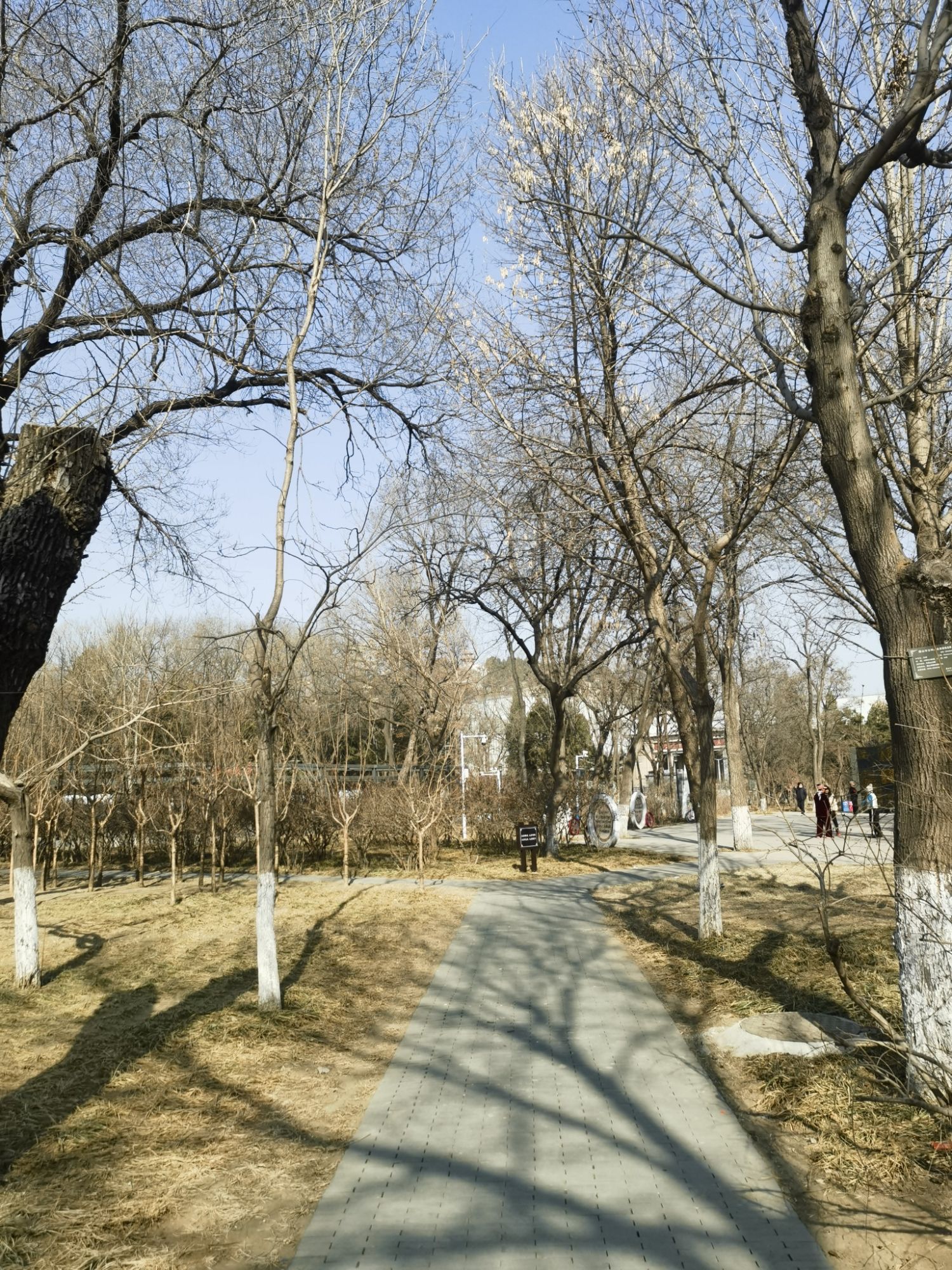 凤凰山公园旅行图片 2