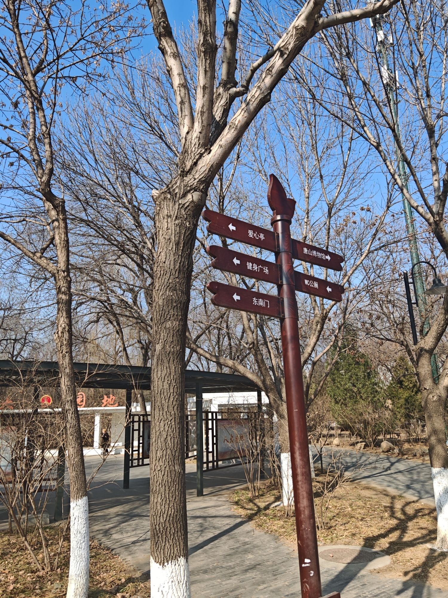 凤凰山公园旅行图片 3