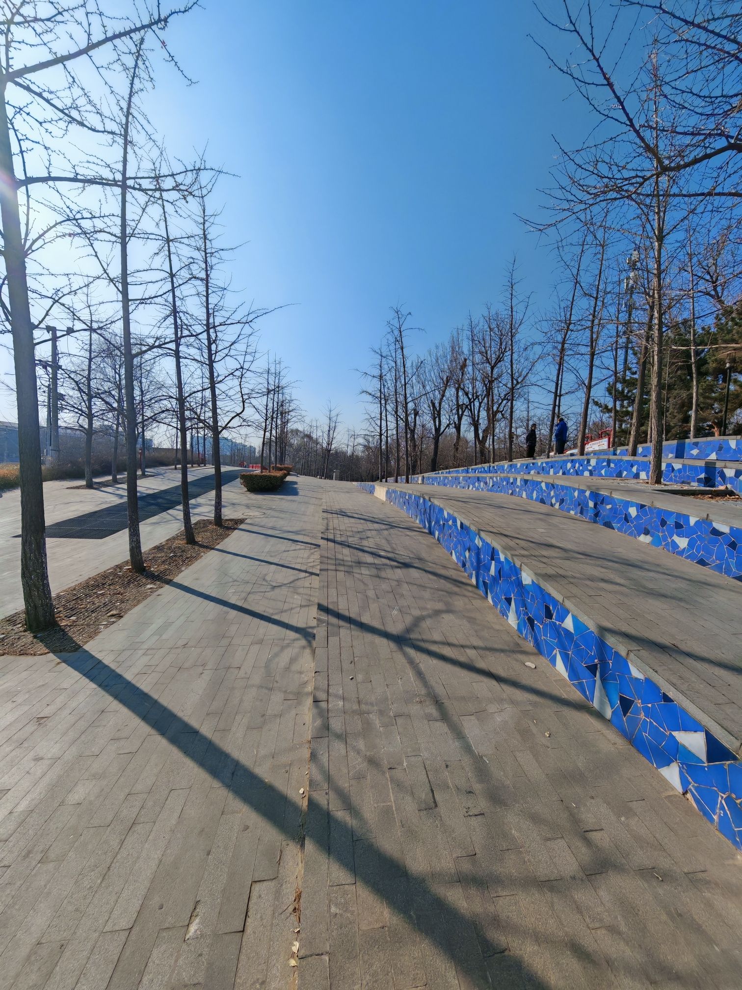 凤凰山公园旅行图片 1