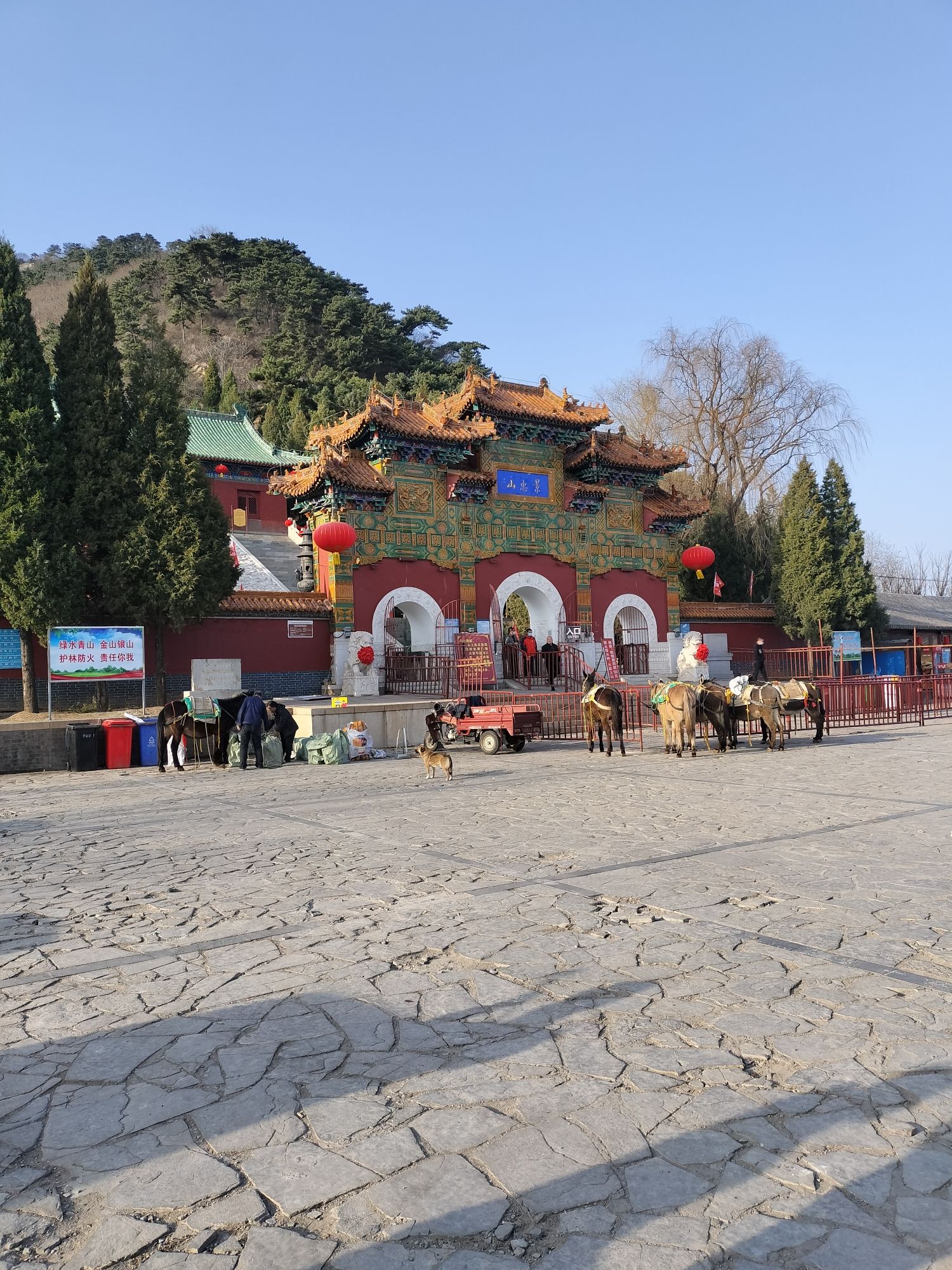 景忠山旅行图片 2
