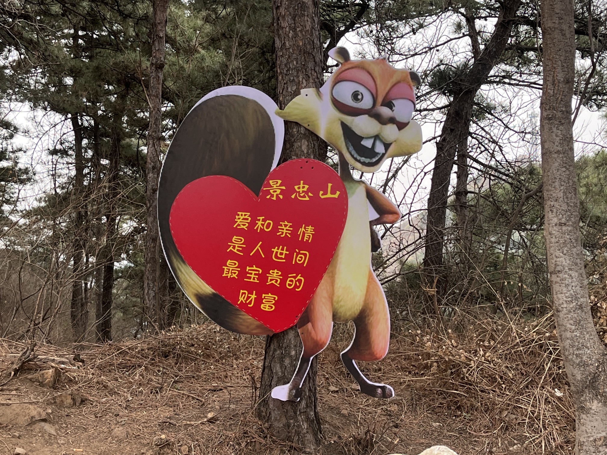 景忠山旅行图片 2