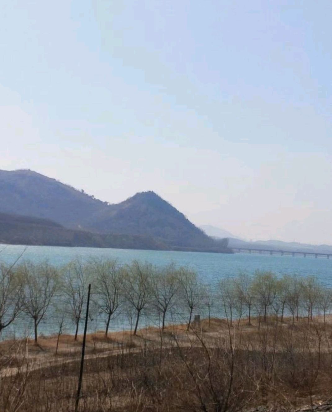 龙山公园旅行图片 3