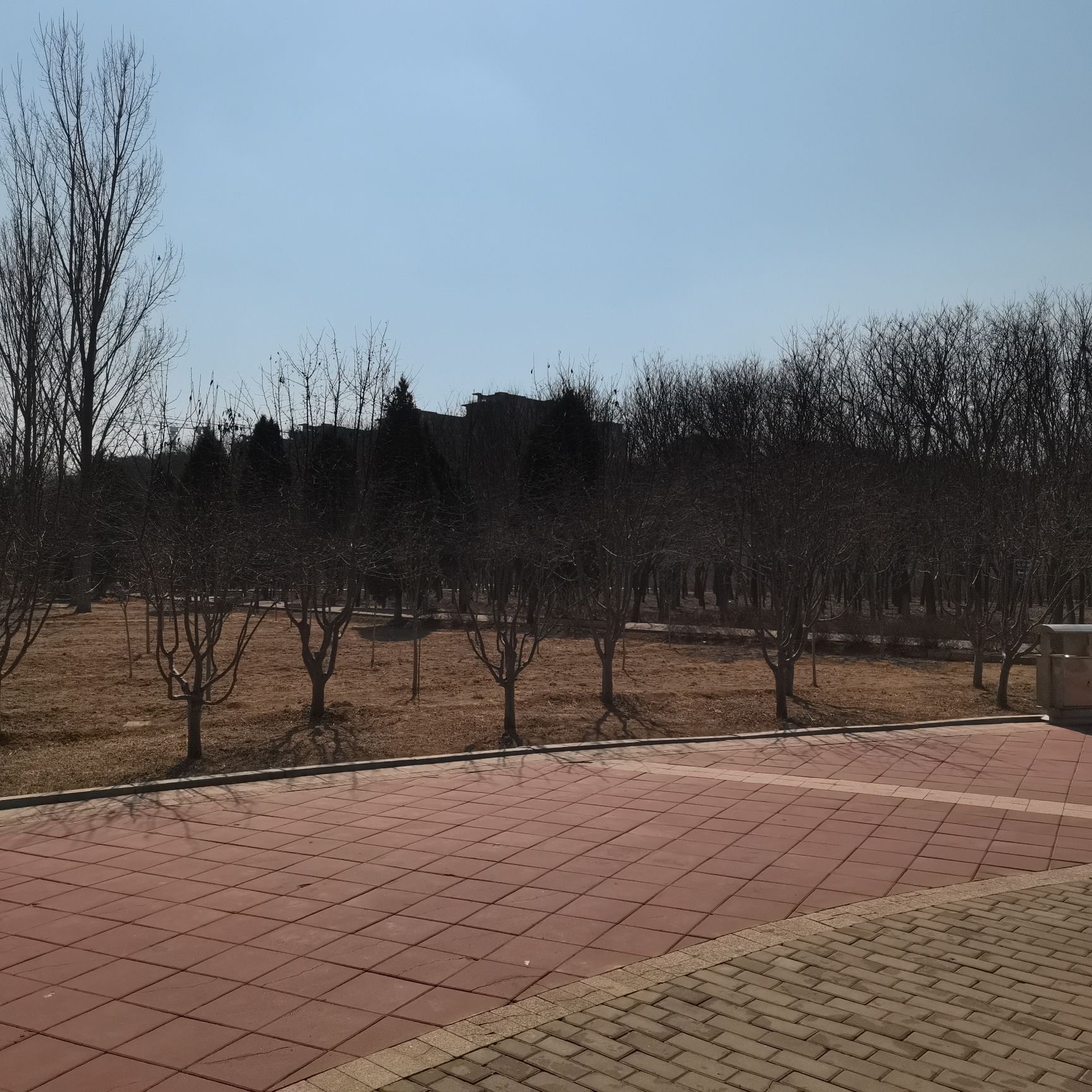 滦州生态公园旅行图片 2