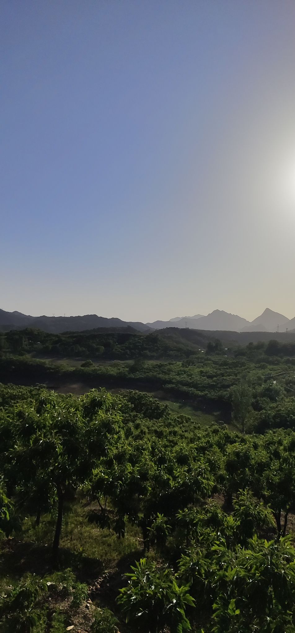 喜峰口长城自然峡谷风景区旅行图片 3