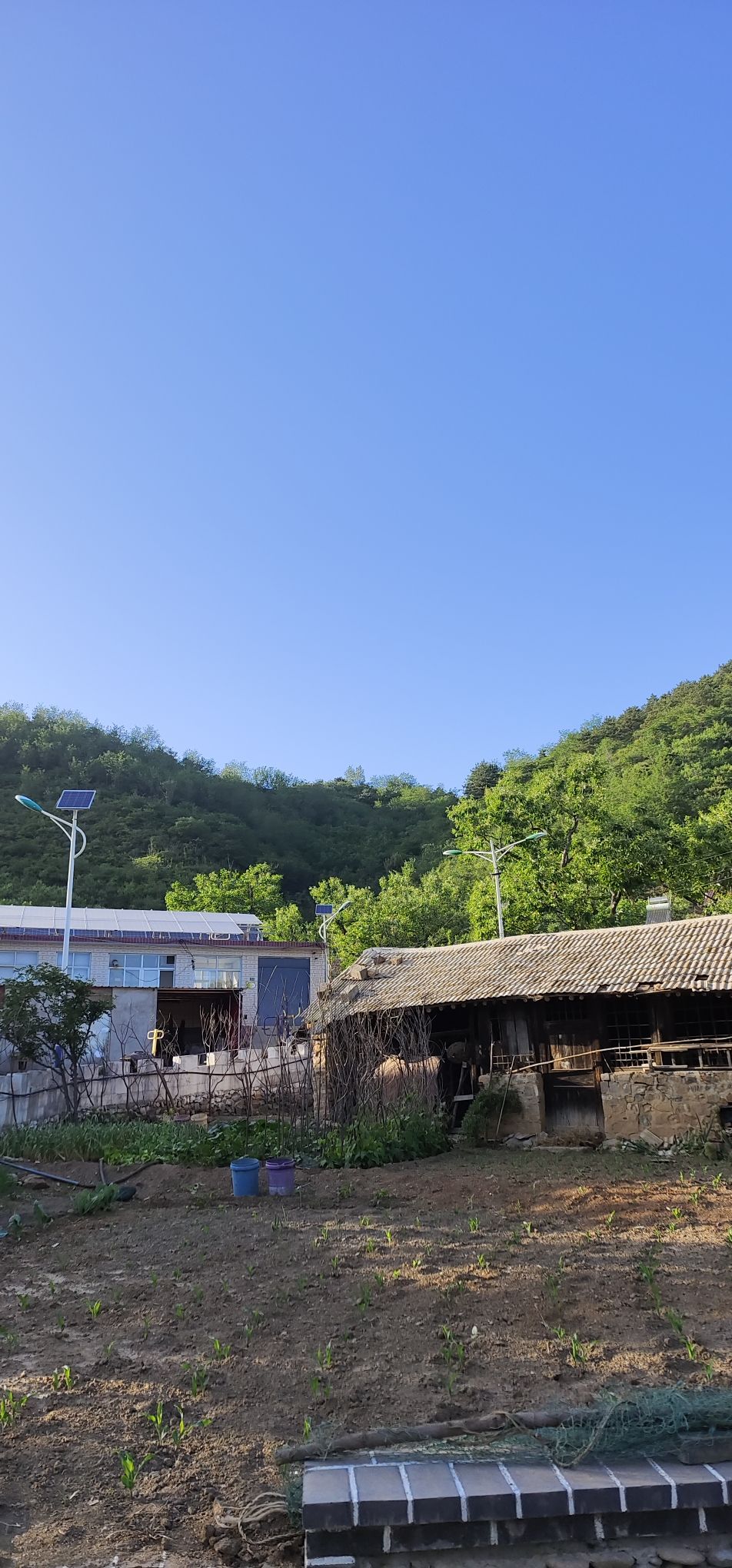 喜峰口长城自然峡谷风景区旅行图片 2