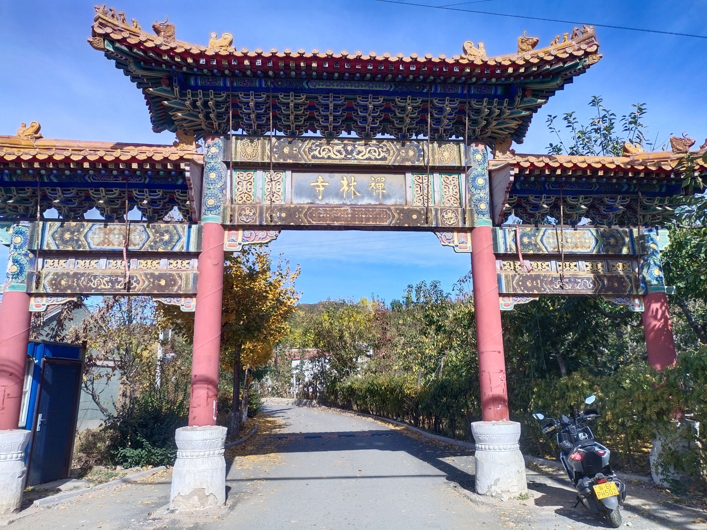 禅林寺古银杏风景园旅行图片 1