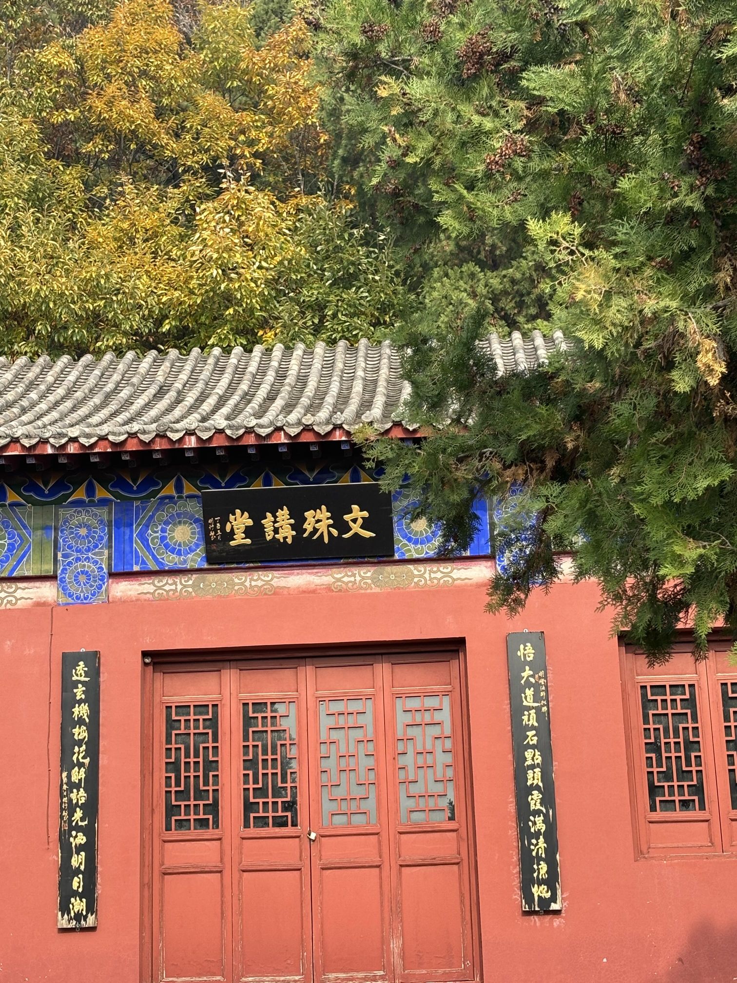 禅林寺古银杏风景园旅行图片 2