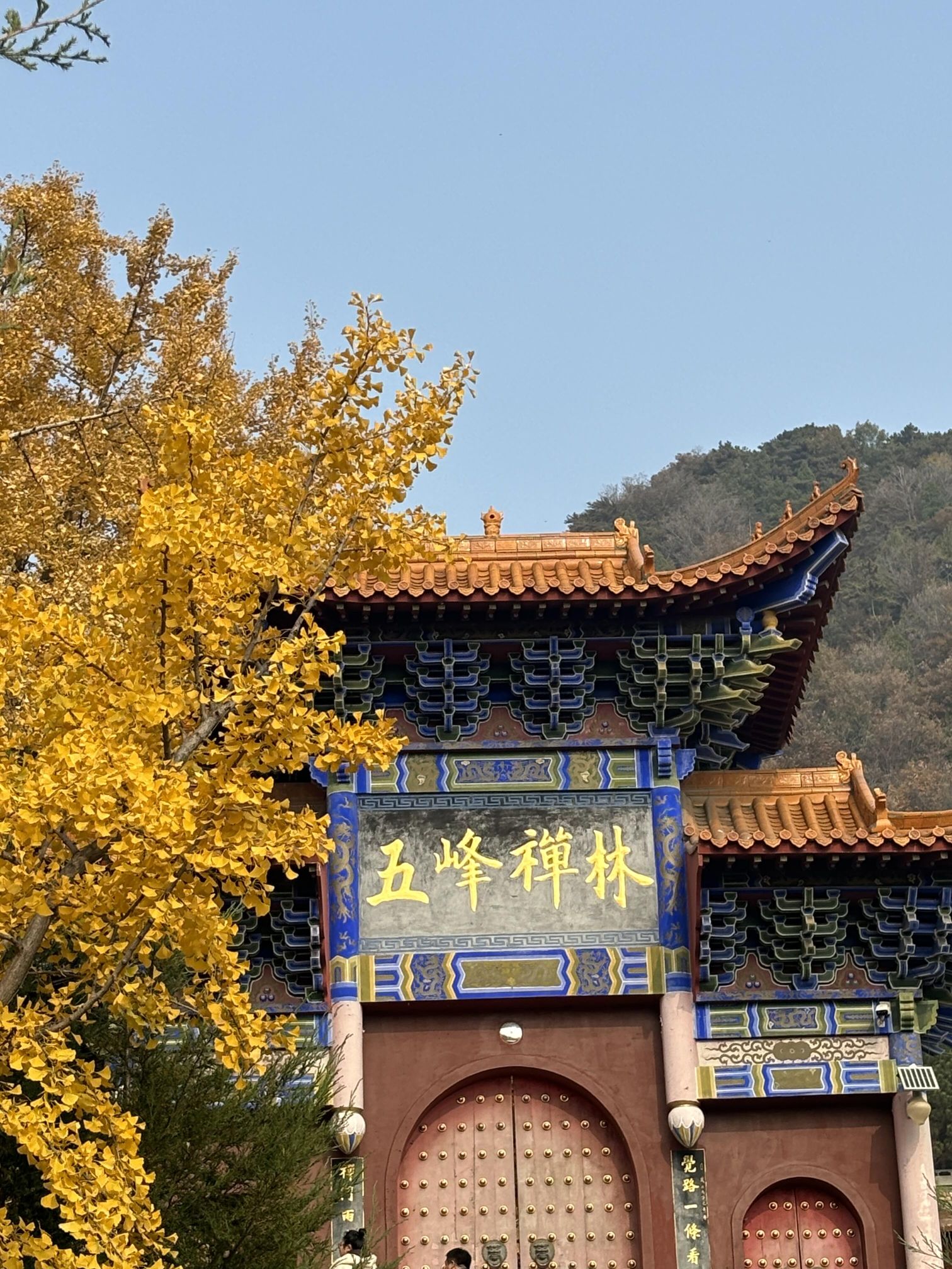 禅林寺古银杏风景园旅行图片 1