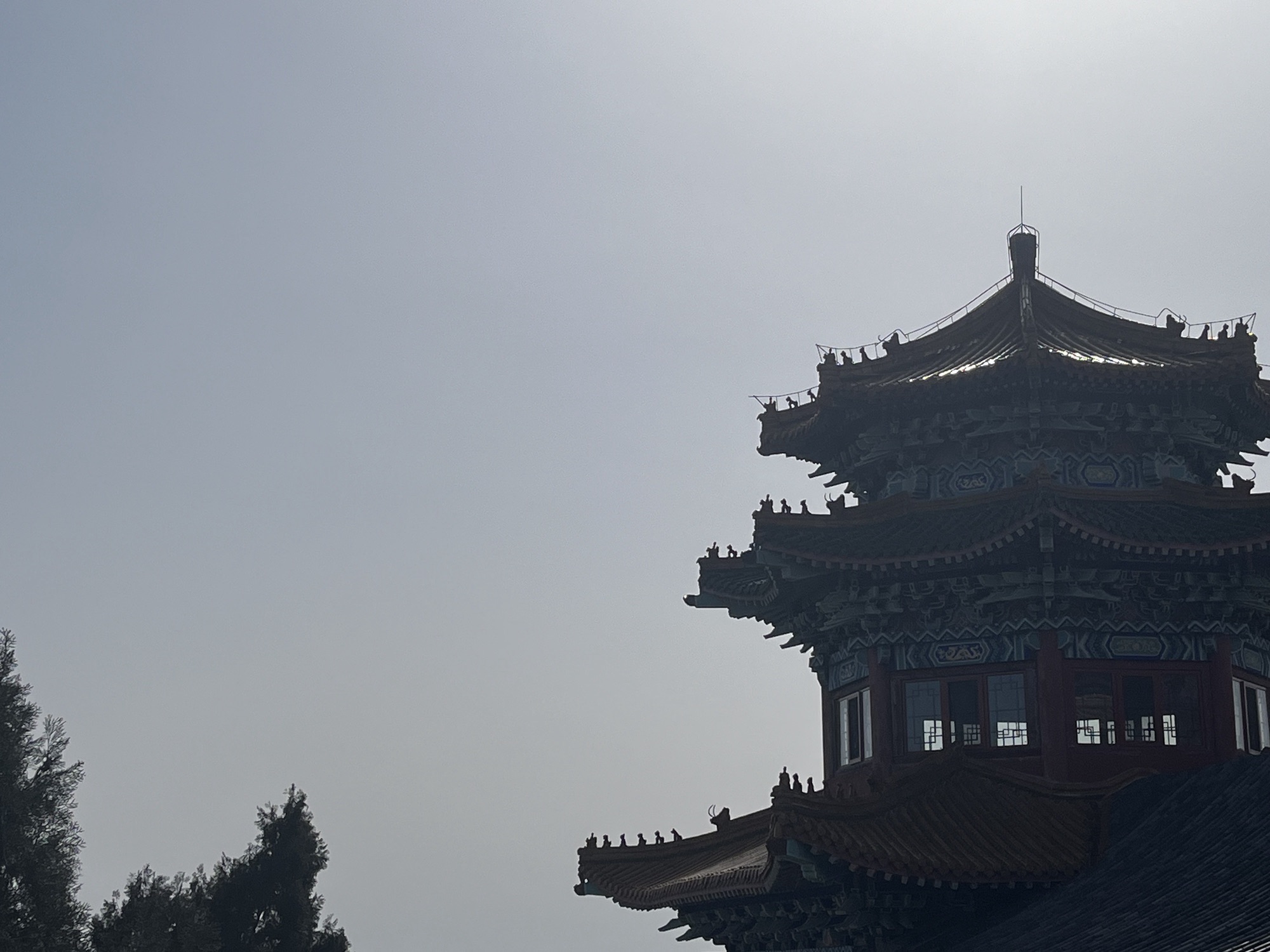 卧龙山旅行图片 2