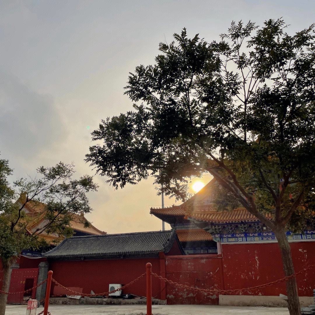卧龙山旅行图片 2