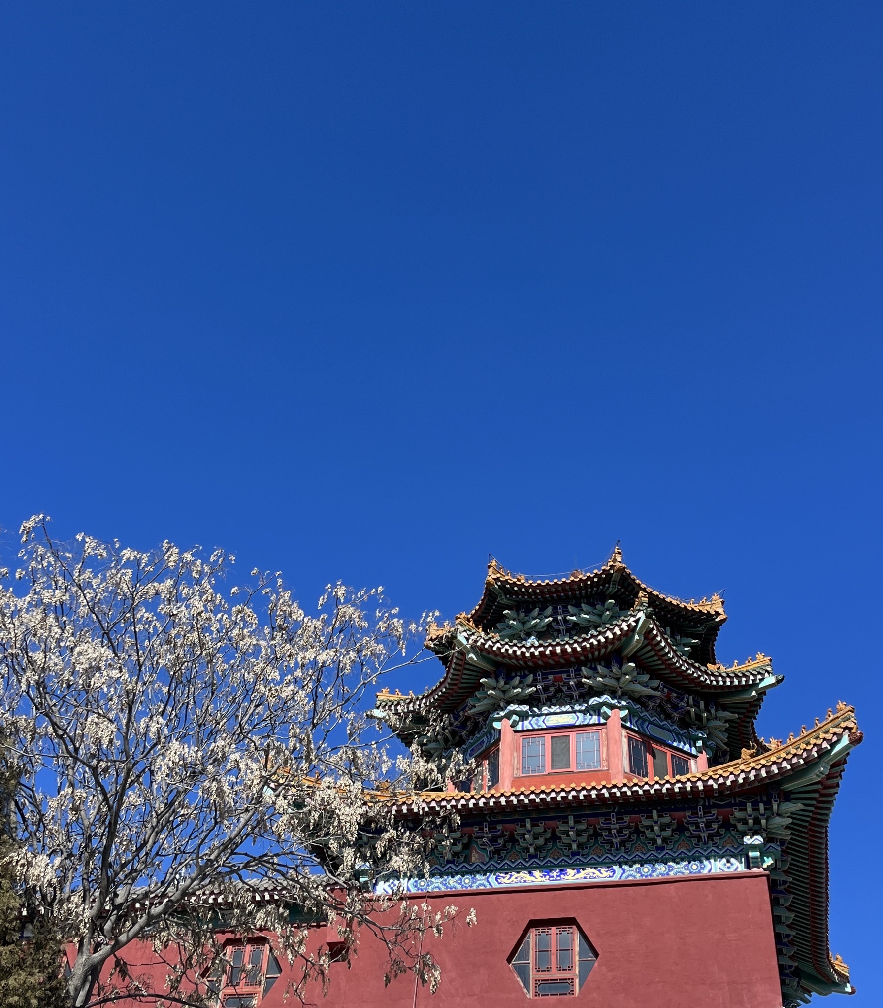 卧龙山旅行图片 2