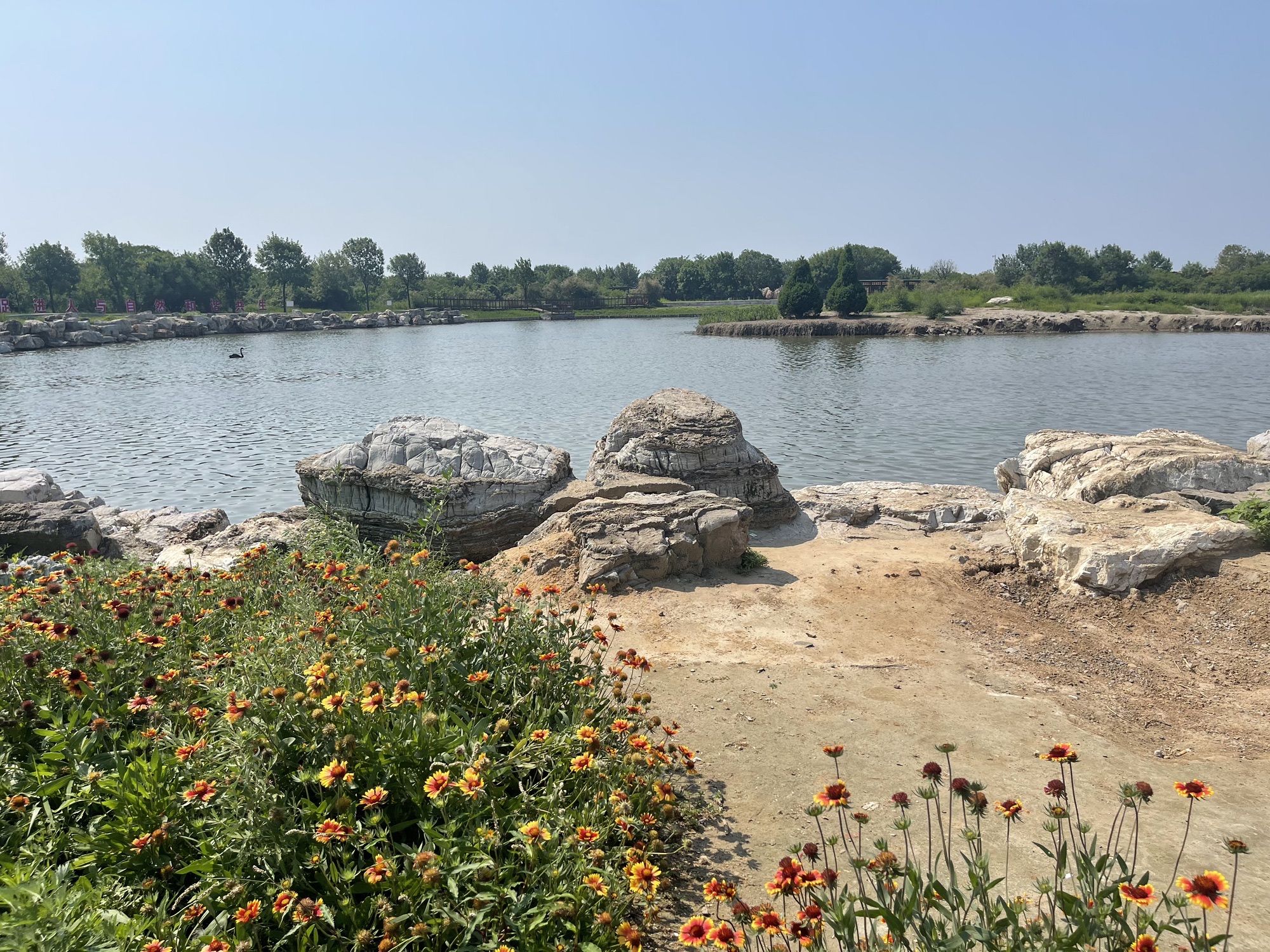 菩提岛旅行图片 2