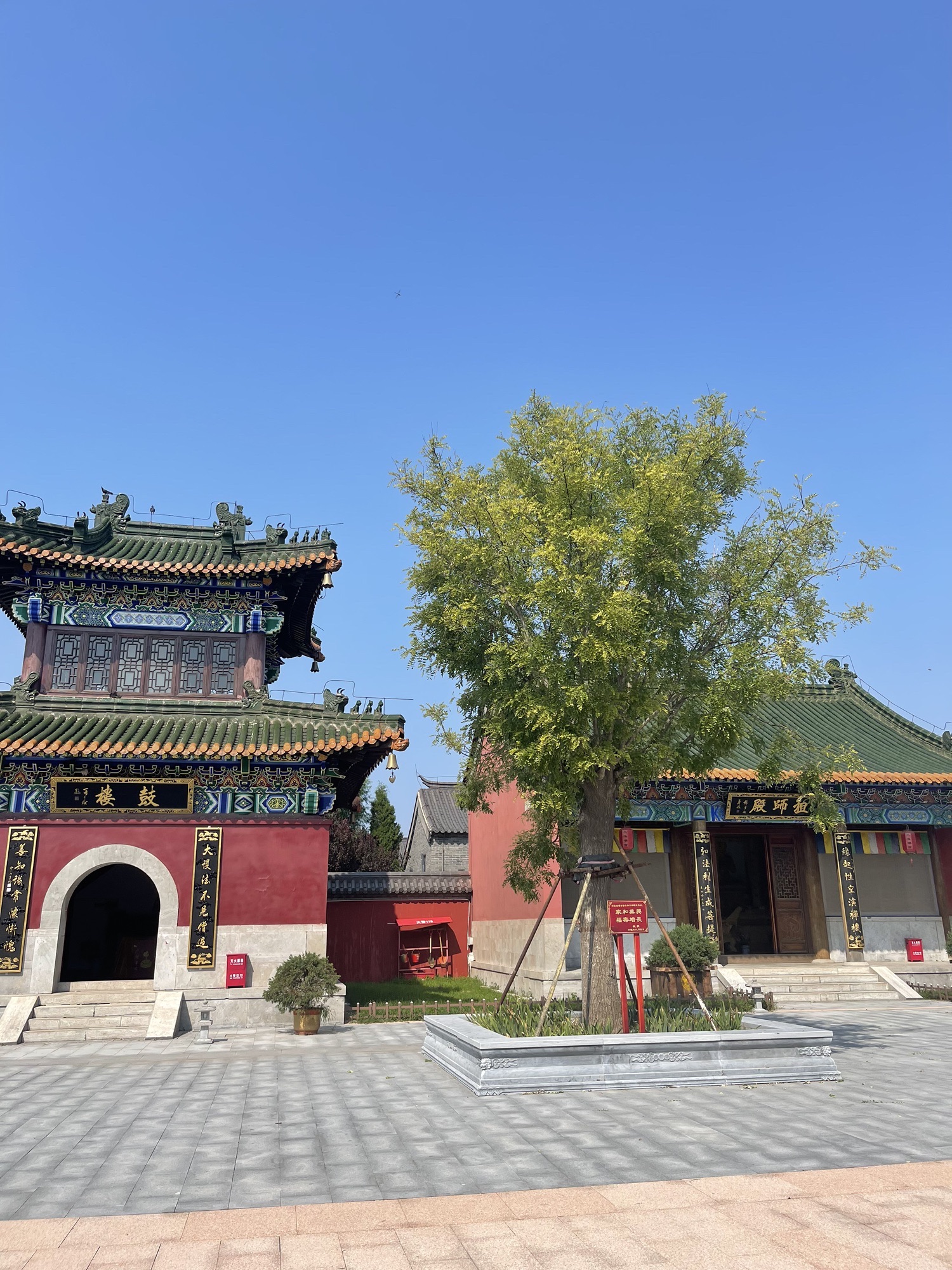 菩提岛旅行图片 3