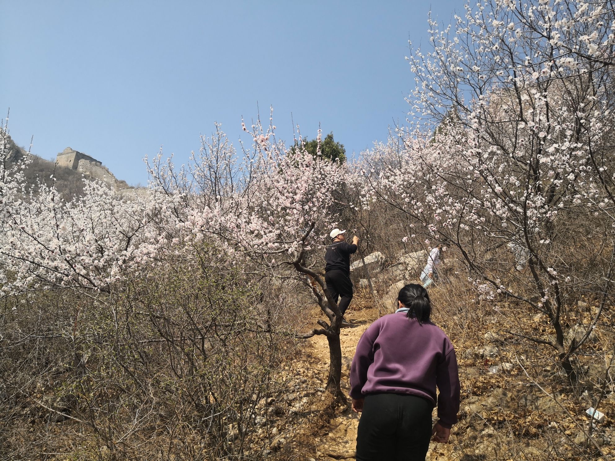 大理石长城景区旅行图片 3