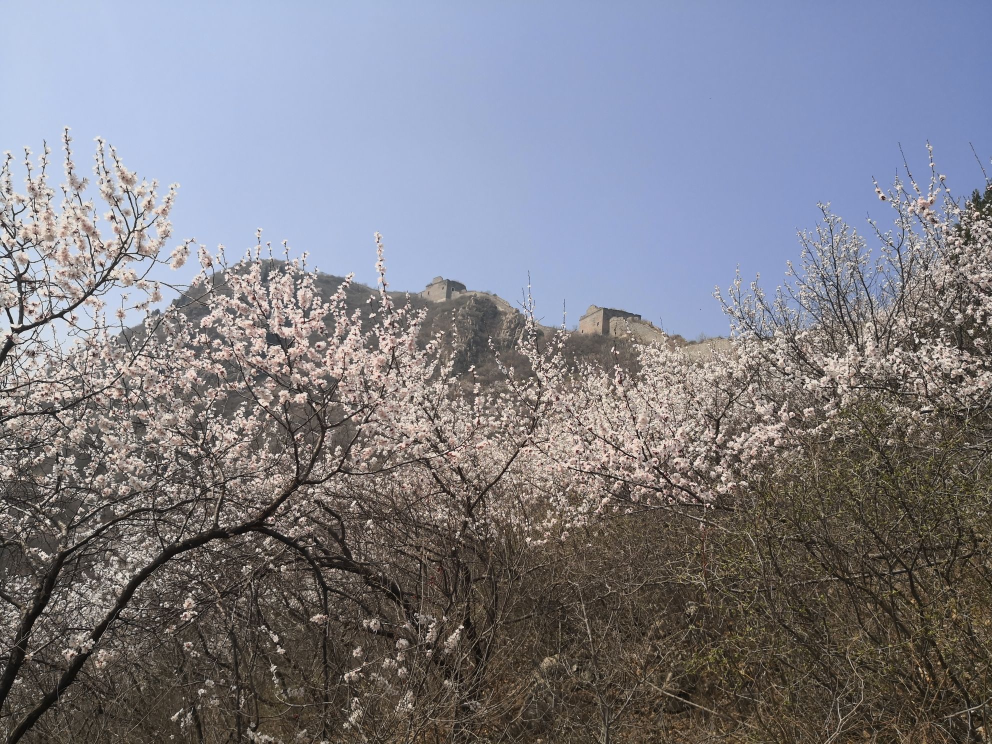 大理石长城景区旅行图片 2