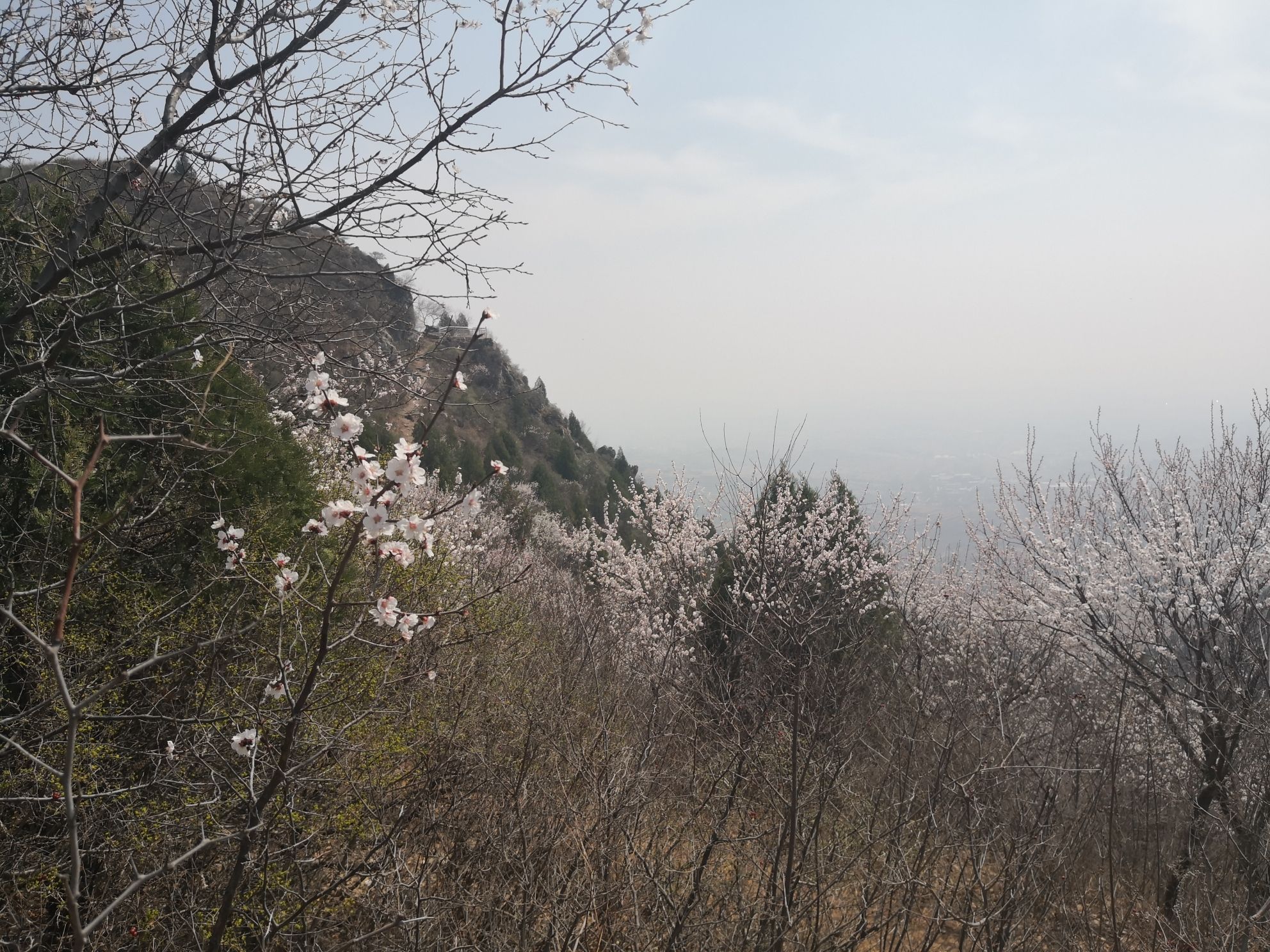 大理石长城景区旅行图片 1
