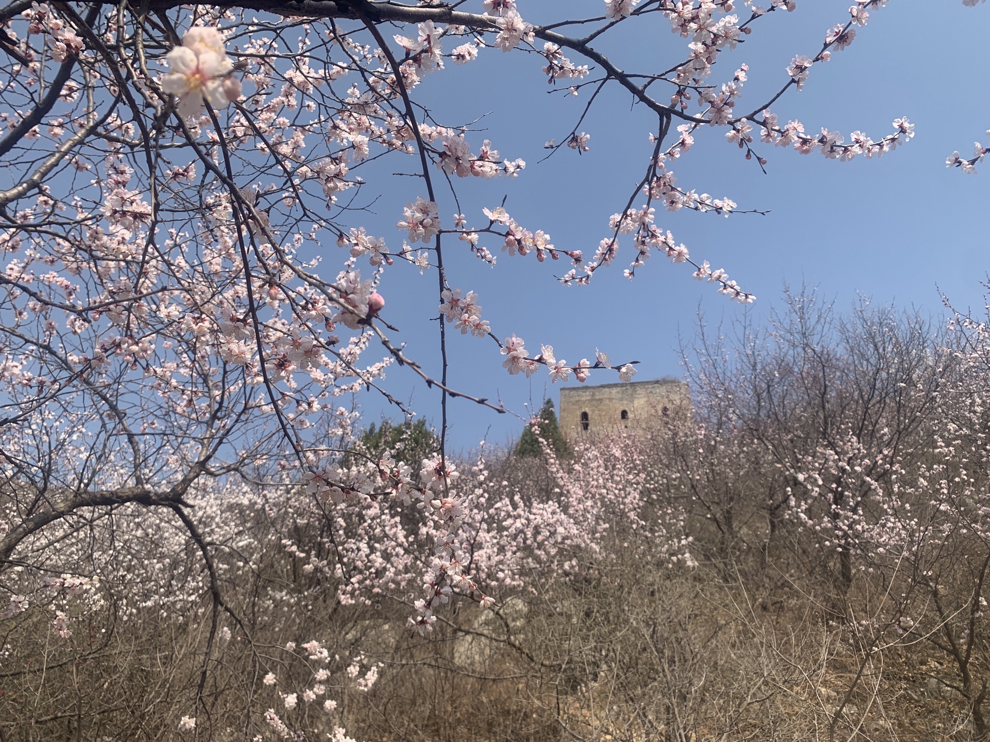 大理石长城景区旅行图片 1