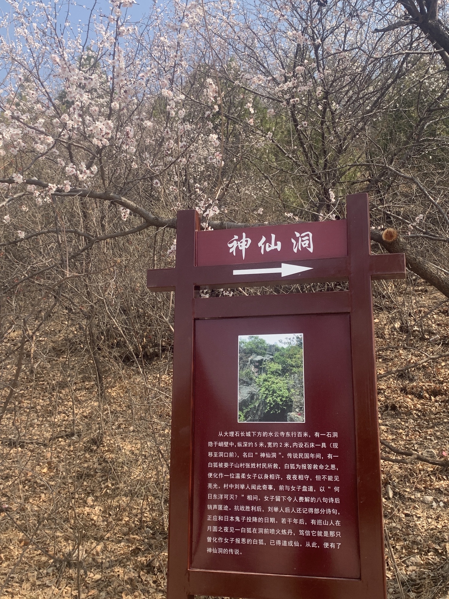 大理石长城景区旅行图片 2