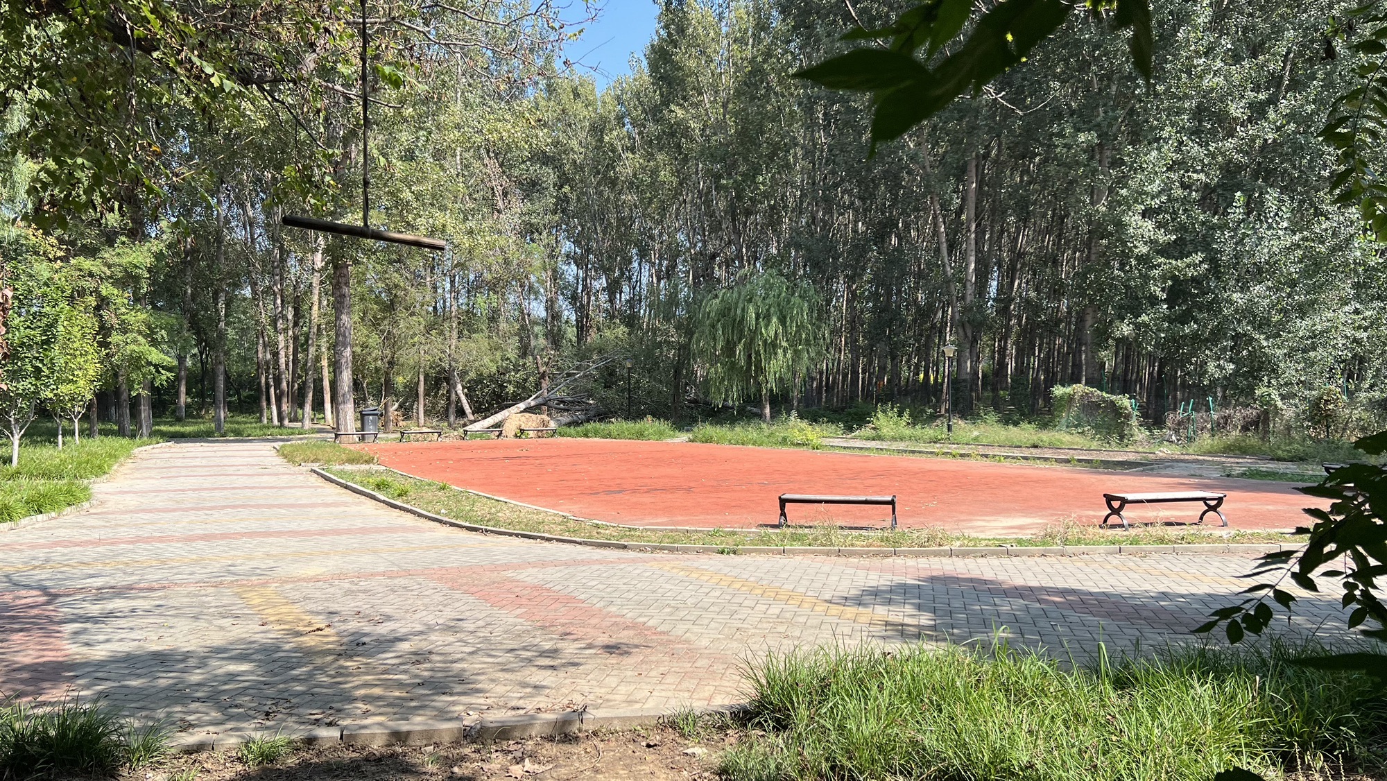 鸿鹄公园旅行图片 3