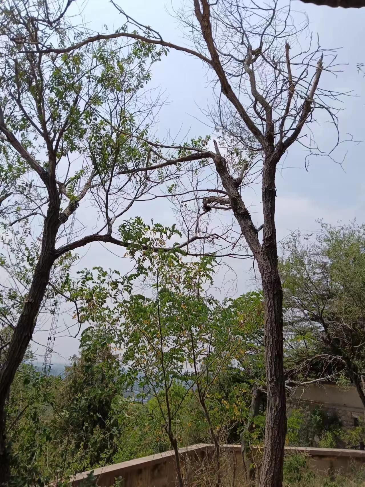 开滦北山公园旅行图片 1