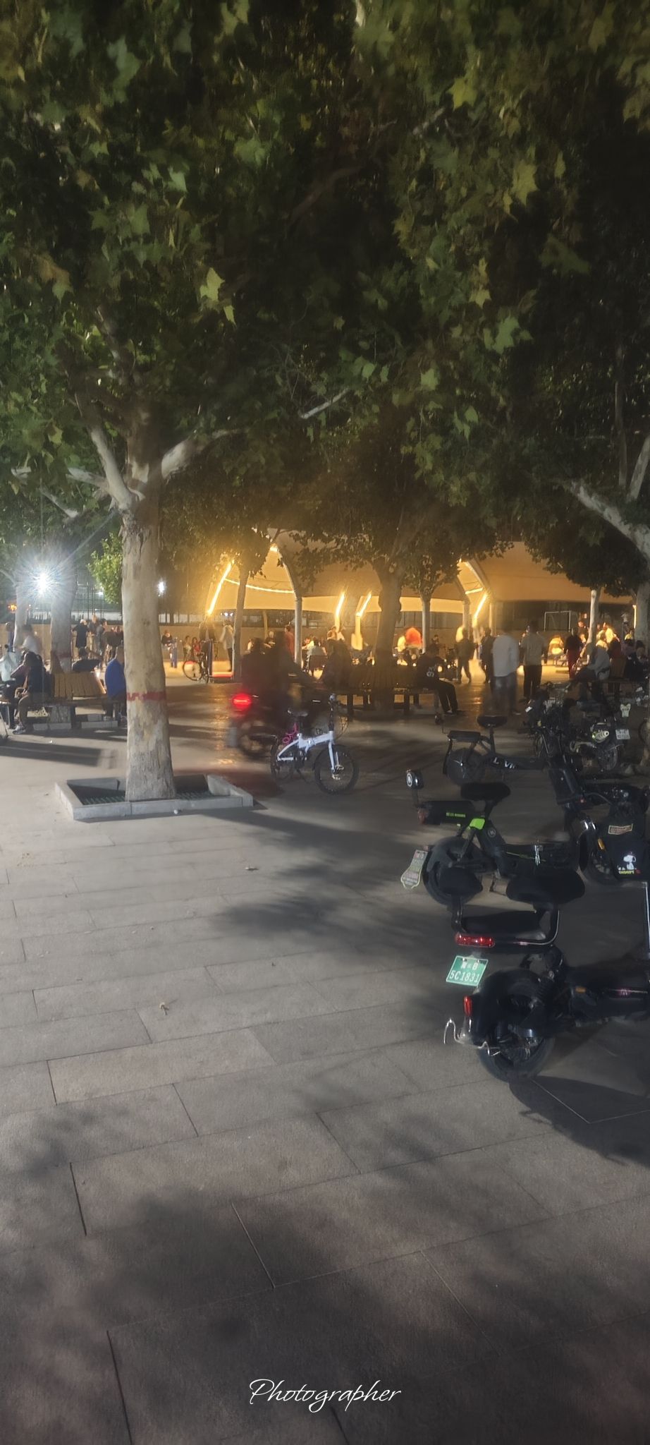 文化广场旅行图片 2