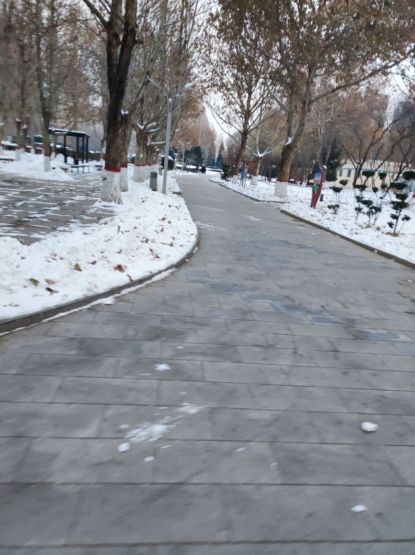 九河公园旅行图片 3