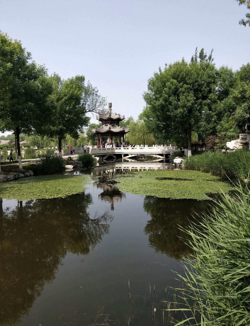静园旅行图片 1